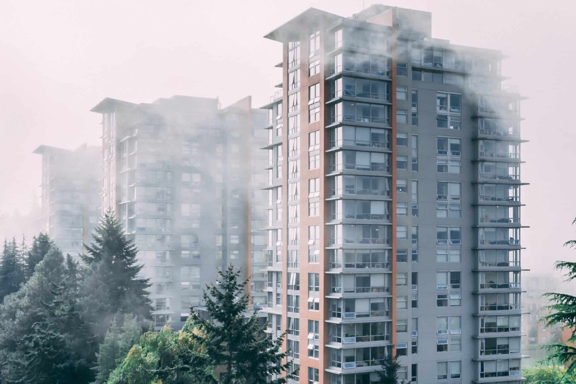 A trio of apartment buildings immersed in fog and coniferous trees, Vancouver, British Columbia.