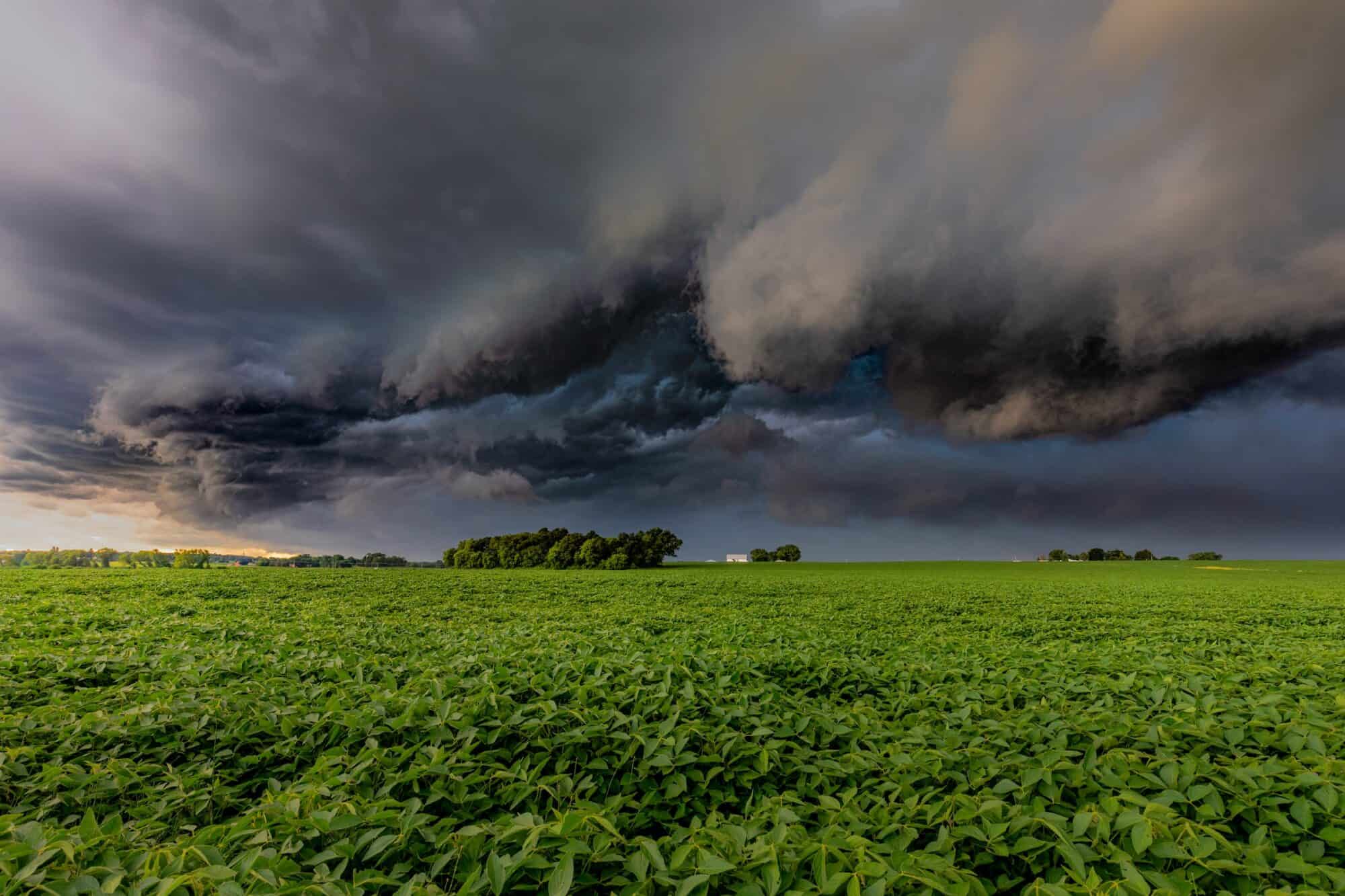 Storm clouds roll in in front of a sunset and over a farmer's field.