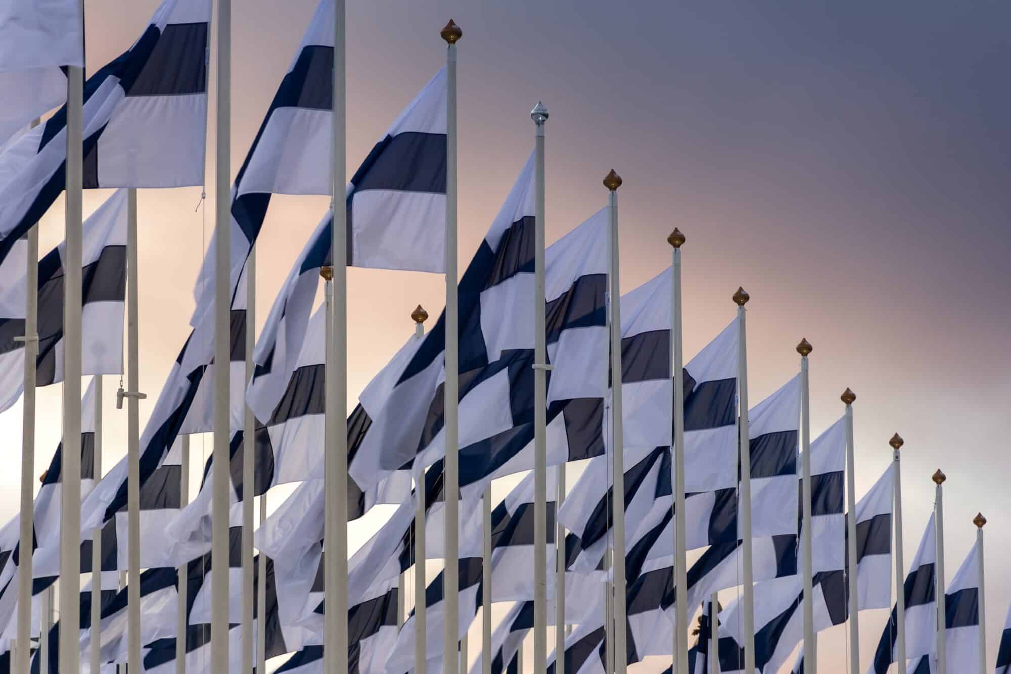 Rows of of Finnish flags.